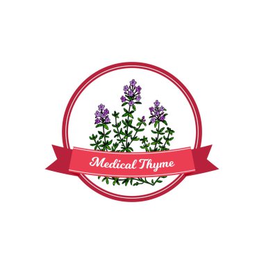 Elle çizilmiş elementlerle tıbbi kekik logosu. Beyaz arkaplanda izole edilmiş renkli çizim biçimi ile vektör illüstrasyonu