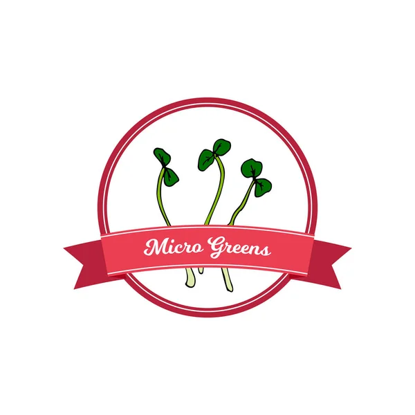 Micro Greens Logo Met Handgetekende Elementen Vector Illustratie Gekleurde Schets — Stockvector