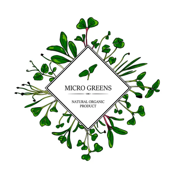 Met Hand Getekend Micro Groen Plantaardig Frame Gezonde Vegetarische Veganistische — Stockvector