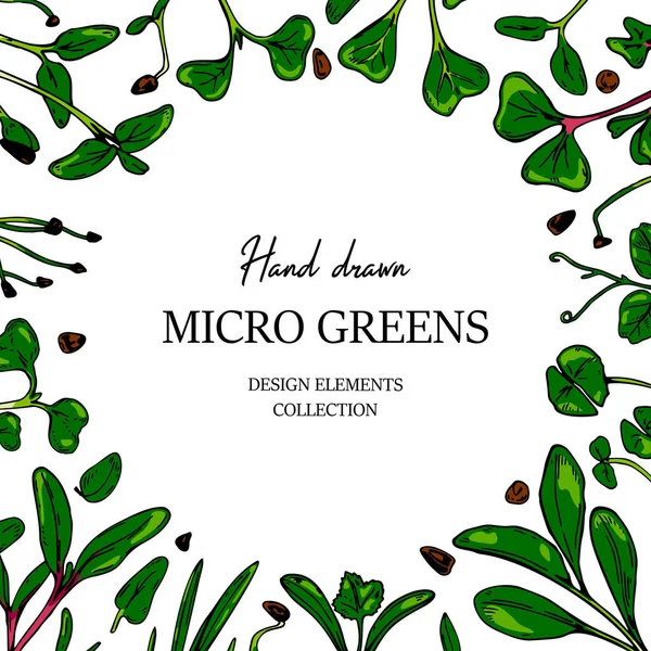 Marco Botánico Micro Greens Dibujado Mano Diseño Saludable Alimentos Vegetarianos — Vector de stock
