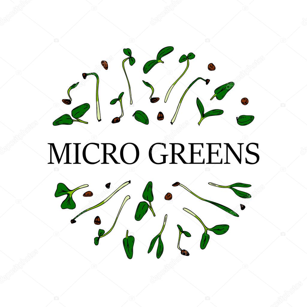 Hand drawn micro greens circle design. Healthy vegetarian and vegan food design for company logo, print, packages. Vector illustration