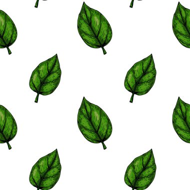 El çizimi yeşil yapraklar pürüzsüz desen. Vektör illüstrasyonu