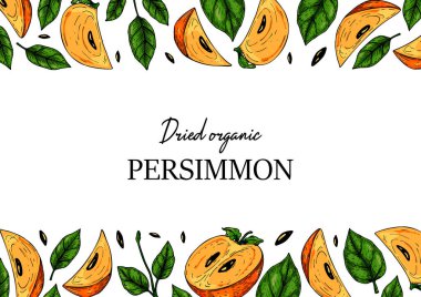 El çizimi renkli hurma yatay tasarımı. Renkli çizim tarzında vektör illüstrasyonu