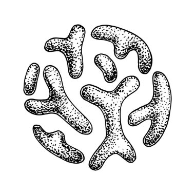 El yapımı probiyotik bifidobakteriyel bakteri. İnsan sağlığı ve sindirim düzenlemeleri için iyi bir mikroorganizma. Robot resim biçiminde vektör illüstrasyonu