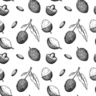 Liçi meyveleri, dalları ve yapraklarıyla el çizimi, pürüzsüz desen. Botanik çizim tarzında vektör illüstrasyonu