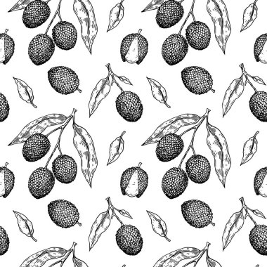Liçi meyveleri, dalları ve yapraklarıyla el çizimi, pürüzsüz desen. Botanik çizim tarzında vektör illüstrasyonu
