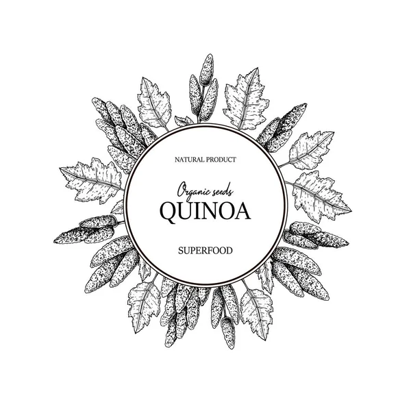 Ručně Kreslený Quinoa Rám Vektorová Ilustrace Stylu Náčrtku — Stockový vektor