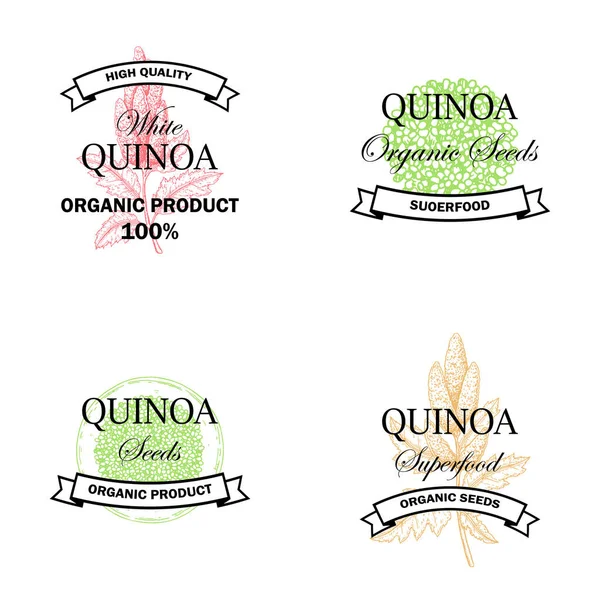 Conjunto Logotipo Vintage Quinua Con Elemento Dibujado Mano Ilustración Vectorial — Vector de stock