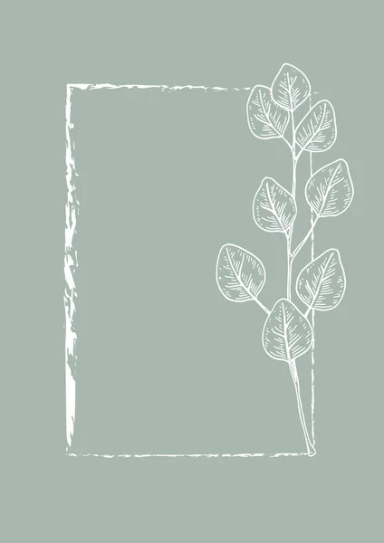 Moderner Rahmen Mit Eukalyptuszweig Handgezeichnete Vektorillustration — Stockvektor