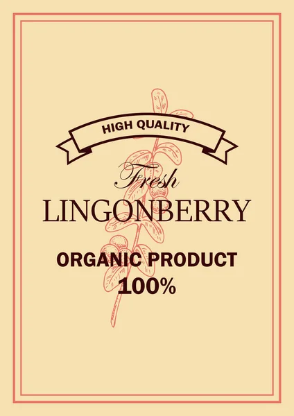 Handgetekend Verticaal Lingonberry Verpakkingsontwerp Vector Illustratie Schets Stijl — Stockvector