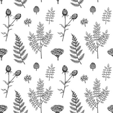 Eğreltiotu ve dulavratlı el yapımı botanik deseni. Robot resim biçiminde vektör illüstrasyonu