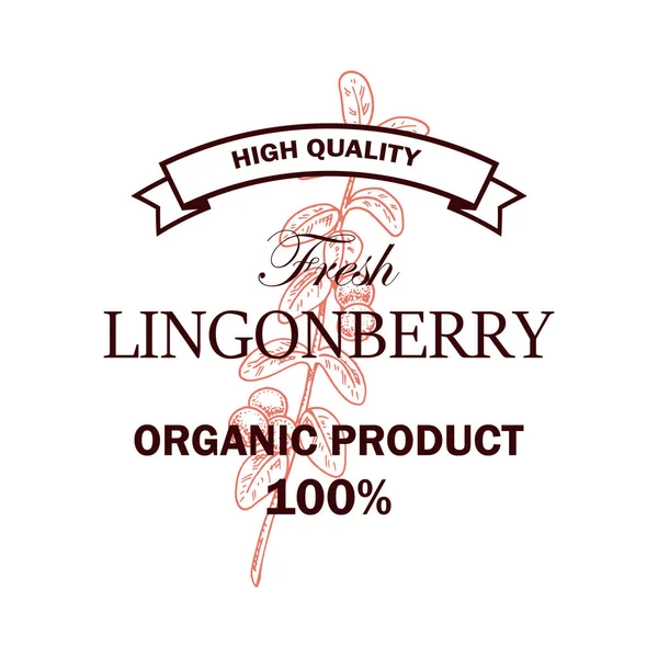 Handgetekend Lingonberry Logo Met Takje Met Bladeren Bessen Geïsoleerd Witte — Stockvector