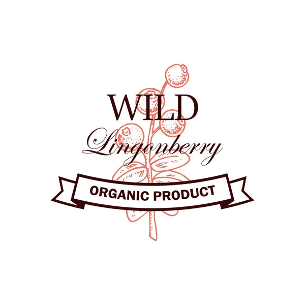 Handgetekend Lingonberry Logo Met Takje Met Bladeren Bessen Geïsoleerd Witte — Stockvector