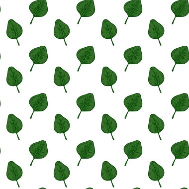 Yeşil okaliptüs yaprakları beyaz arka planda izole edilmiş, el izi yok. Robot resim biçiminde vektör illüstrasyonu