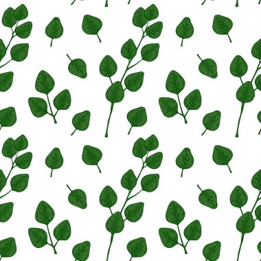 Hand drawn seamless pattern with green eucalyptus branch with leaves isolated on white background. Vector illustration in sketch style