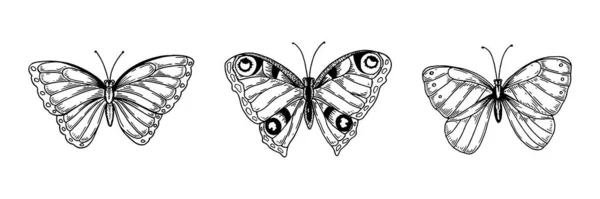 Zestaw Ręcznie Rysowanych Motyli Odizolowanych Bieli Ilustracja Wektora Stylu Szkicowym — Wektor stockowy