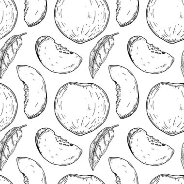 Elle çizilmiş şeftali deseni. Vektör illüstrasyonu