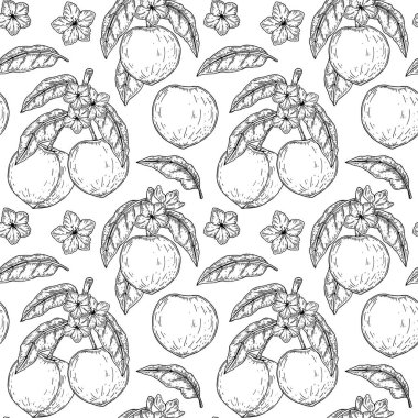 Elle çizilmiş şeftali deseni. Vektör illüstrasyonu