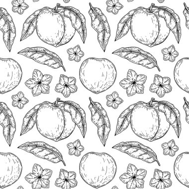 Elle çizilmiş şeftali deseni. Vektör illüstrasyonu