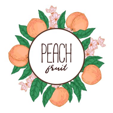 El yapımı şeftali çerçevesi. Robot resim biçiminde vektör illüstrasyonu