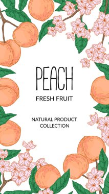 El yapımı şeftali dikey tasarım. Robot resim biçiminde vektör illüstrasyonu