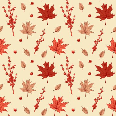 Akçaağaç yaprakları ve böğürtlenlerle renksiz sonbahar deseni. El çizimi vektör illüstrasyonu