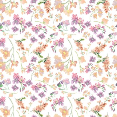 Suluboya çiçek deseni. Kusursuz desen. Pembe ve mor matthiola.