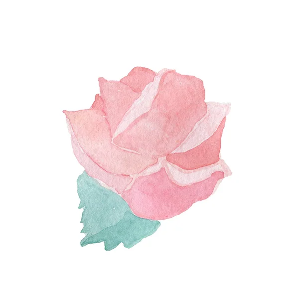 Pink rose on white background. watercolor — Stock Photo, Image