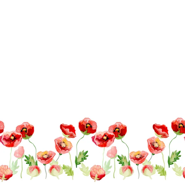 Seamless line with poppies watercolor red flowers — Stock Photo, Image