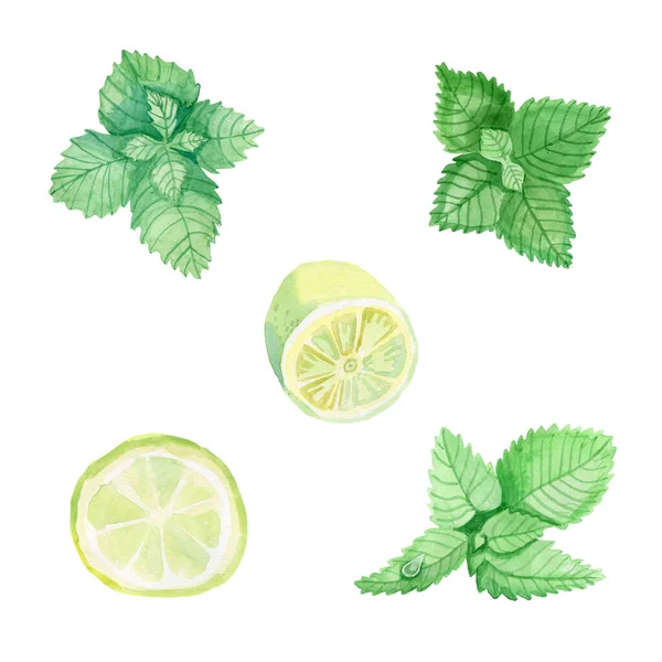 Ice cubes,lime wedge and basil leaves isolated on white background — Foto de Stock