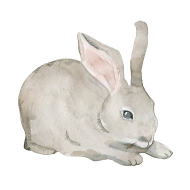 Paskalya tavşanı, beyaz arka planda izole edilmiş gri laleler. 8 Mart tatili, metin için bir yer..