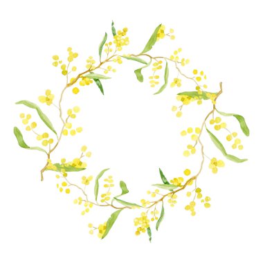 Suluboya çizimi. Merhaba Spring. Mimosa çelengi. Yuvarlak çerçeve. Beyaz arkaplanda izole illüstrasyon.