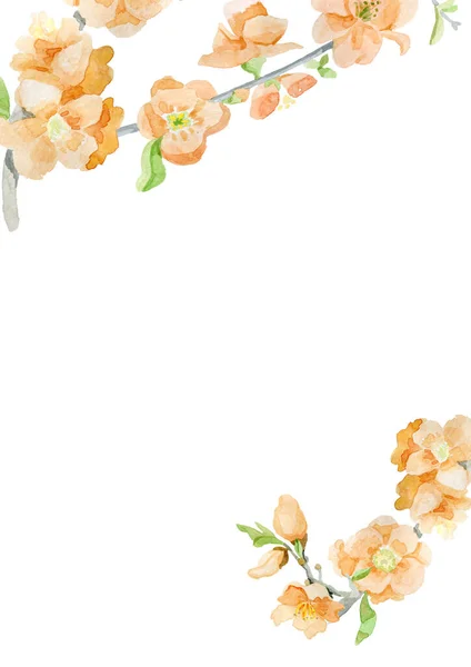 Pastel Watercolor Flowers Art Background peach spring — Stock Photo, Image