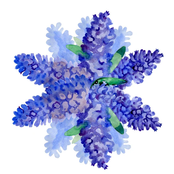 Flieder Blumen Strauß weiße Kunst Design Hintergrund. Schöne violette Fliederblüte Nahaufnahme. Aquarell Natur blumiger Hintergrund — Stockfoto