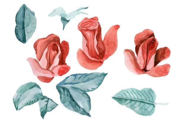 Σετ λουλουδιών. Πολύχρωμη συλλογή λουλουδιών με φύλλα και λουλούδια, σχέδιο ακουαρέλα. Ανοιξιάτικο ή καλοκαιρινό σχέδιο για πρόσκληση, γάμο ή ευχετήριες κάρτες — Φωτογραφία Αρχείου