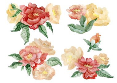 Elle çizilmiş pembe çiçekler. Şakayıklı suluboya kompozisyon.