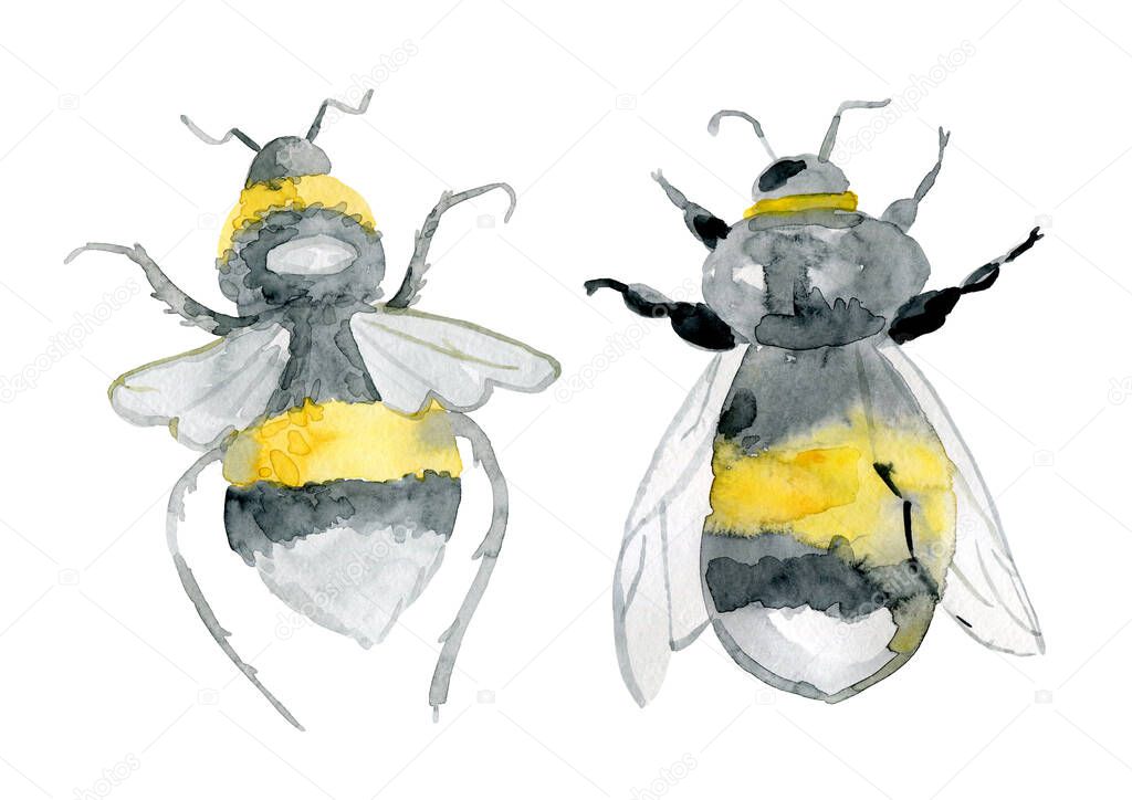 realistic small watercolor bees isolated on white