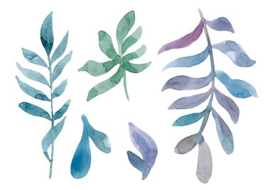 suluboya yeşil dallar ve yapraklar, elle çizilmiş tasarım elementleri