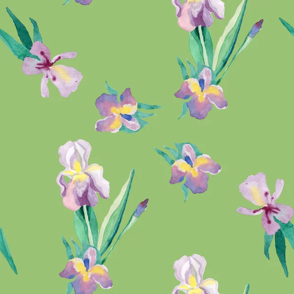 Blossoming iris watercolor seamless pattern romantic summer for fabric — Stock Photo, Image