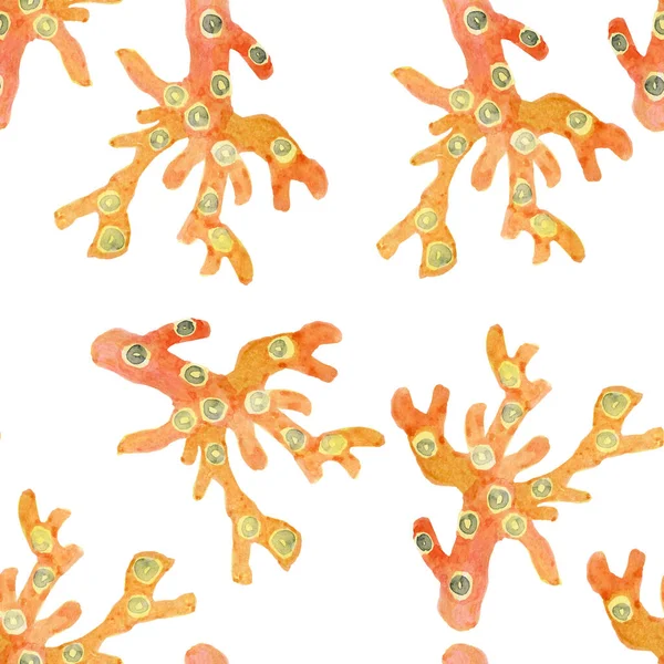 Rote Korallen auf weißem Hintergrund, nahtloses Muster für Stoff-Digitalpapier — Stockfoto