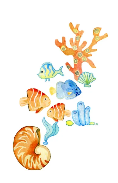 Compoziția maritimă a cojilor de corali de pește pentru pachetele de cărți poștale tricouri — Fotografie, imagine de stoc