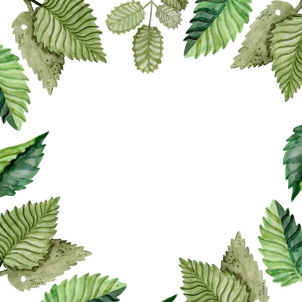 Čtvercový rám akvarelu zelené listy pozadí pro písmo — Stock fotografie