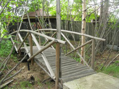 Küçük bir nehrin üzerindeki korkuluklu orman ahşap köprüsü.