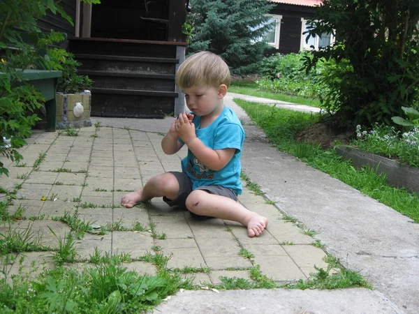 Niño mirando una hormiga en el jardín — Foto de Stock