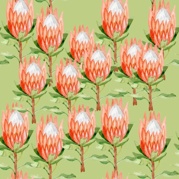 Květinové Proteas akvarel podle ručně bezešvé vzor pro tkaniny, pro scrabbooking, pro tapety — Stock fotografie