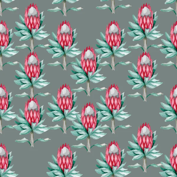 Blume Proteas Aquarell von Hand nahtlose Muster für Stoff, für Scrapbooking, für Tapeten — Stockfoto