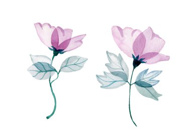 Yeşil yapraklı şeffaf mor suluboya çiçekler