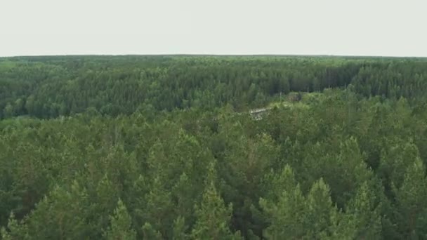 Luchtfoto van de spoorbrug over de rivier in het bos — Stockvideo