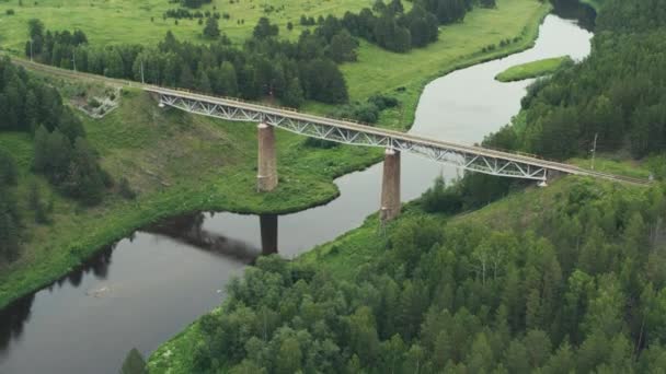 Vista aérea da ponte ferroviária sobre o rio na floresta — Vídeo de Stock