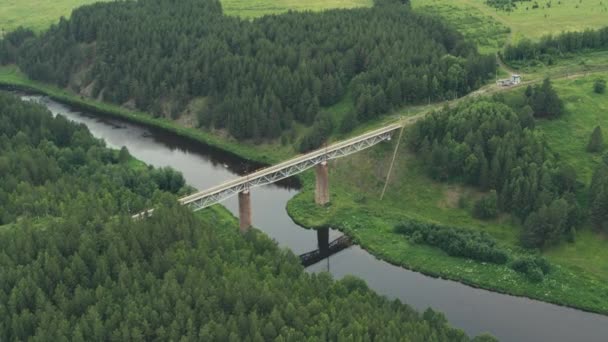 Vista aérea da ponte ferroviária sobre o rio na floresta — Vídeo de Stock